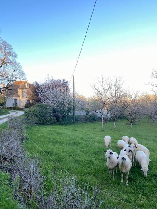La Grangette De Paunac Cazillac Luaran gambar